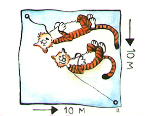 To tigre i bånd.